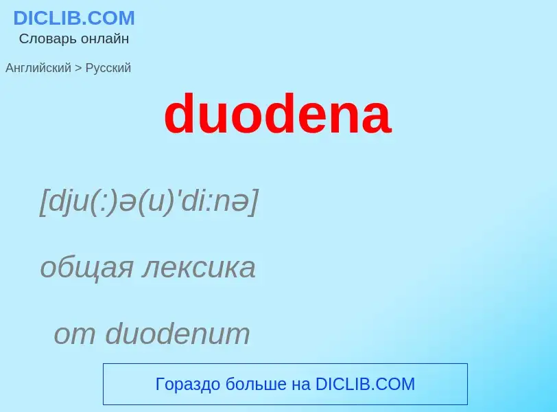 Vertaling van &#39duodena&#39 naar Russisch