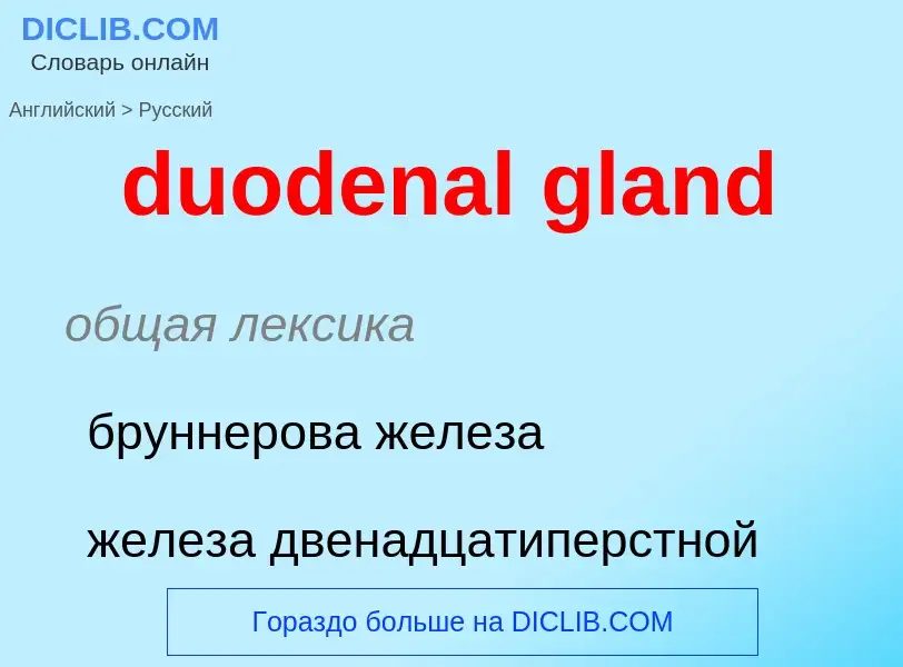 Vertaling van &#39duodenal gland&#39 naar Russisch