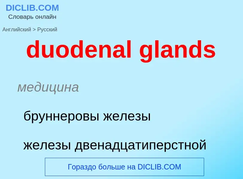 Vertaling van &#39duodenal glands&#39 naar Russisch