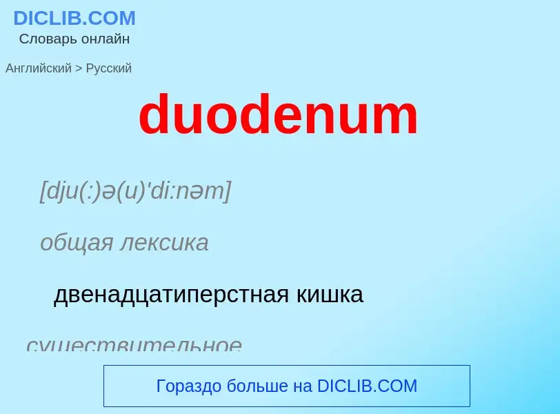 Vertaling van &#39duodenum&#39 naar Russisch