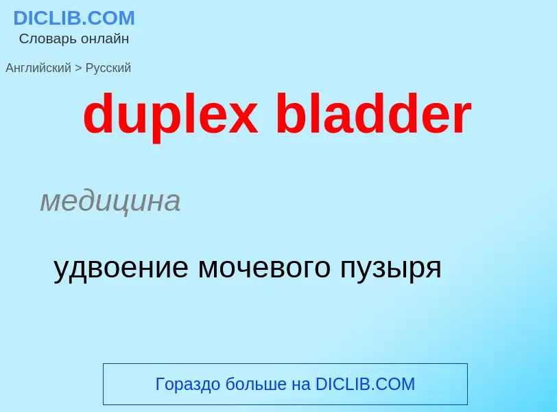 Vertaling van &#39duplex bladder&#39 naar Russisch