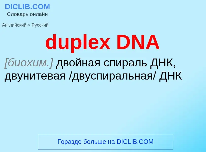 Vertaling van &#39duplex DNA&#39 naar Russisch