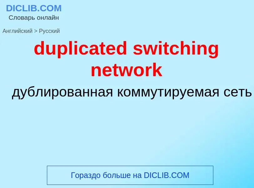 Vertaling van &#39duplicated switching network&#39 naar Russisch