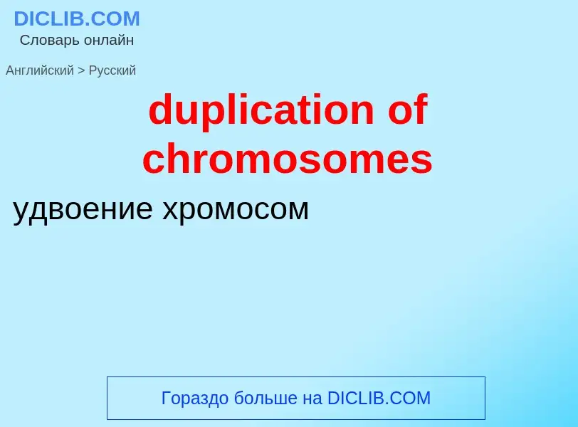 Vertaling van &#39duplication of chromosomes&#39 naar Russisch