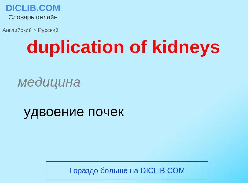 Vertaling van &#39duplication of kidneys&#39 naar Russisch