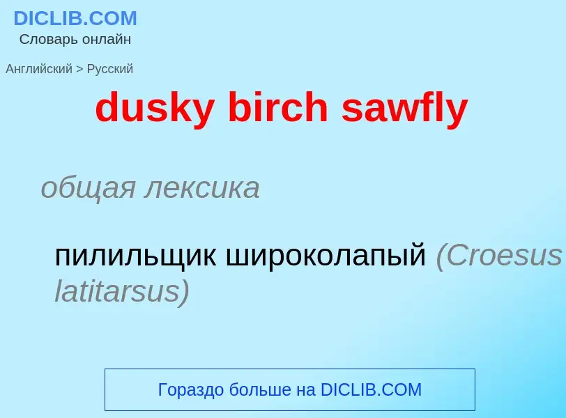 Vertaling van &#39dusky birch sawfly&#39 naar Russisch