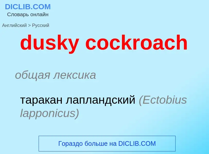 Vertaling van &#39dusky cockroach&#39 naar Russisch