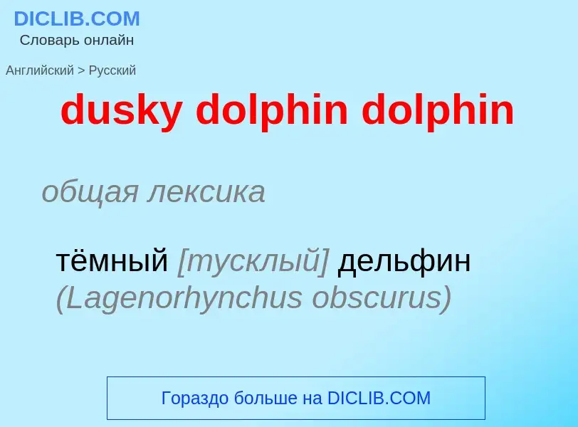 Vertaling van &#39dusky dolphin dolphin&#39 naar Russisch