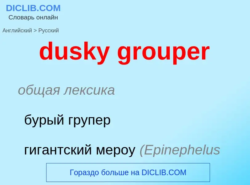 Vertaling van &#39dusky grouper&#39 naar Russisch