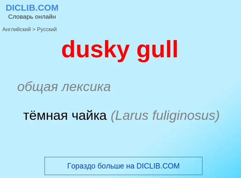 Vertaling van &#39dusky gull&#39 naar Russisch