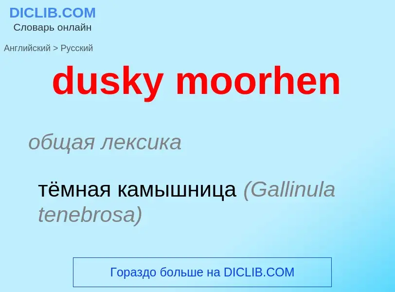 Vertaling van &#39dusky moorhen&#39 naar Russisch