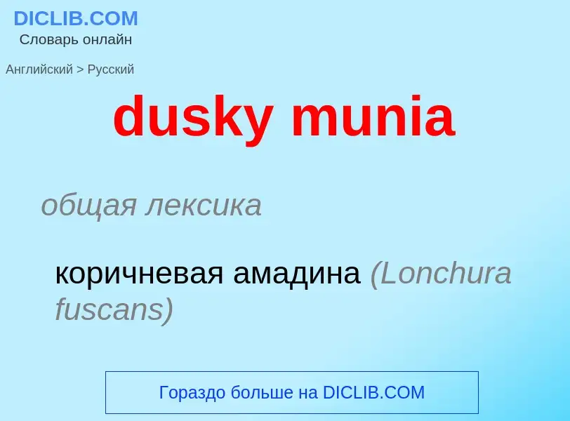 Vertaling van &#39dusky munia&#39 naar Russisch