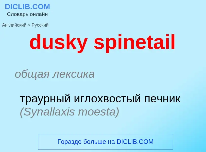 Vertaling van &#39dusky spinetail&#39 naar Russisch