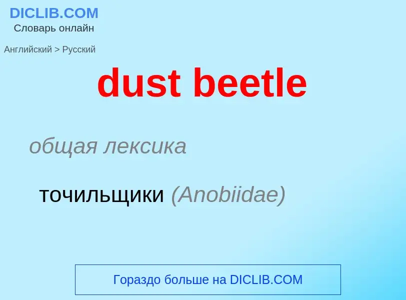 Vertaling van &#39dust beetle&#39 naar Russisch