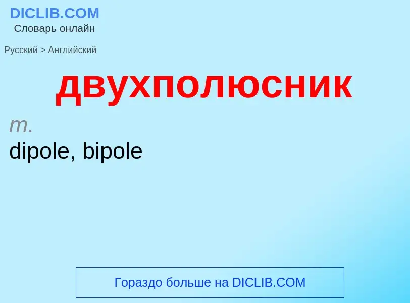 Как переводится двухполюсник на Английский язык