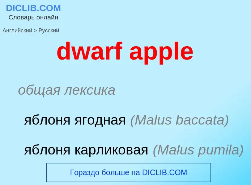 Vertaling van &#39dwarf apple&#39 naar Russisch