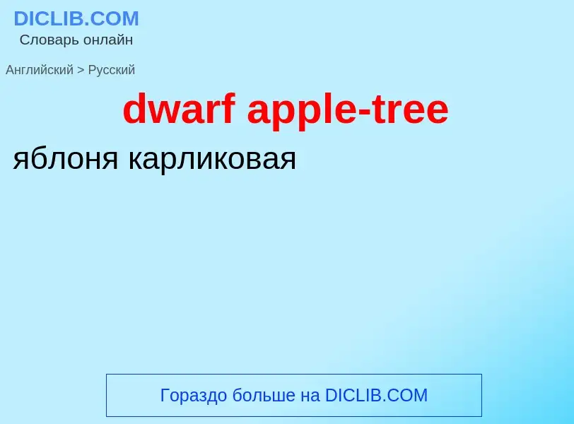 Vertaling van &#39dwarf apple-tree&#39 naar Russisch