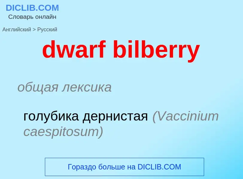 Vertaling van &#39dwarf bilberry&#39 naar Russisch