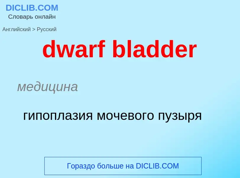 Como se diz dwarf bladder em Russo? Tradução de &#39dwarf bladder&#39 em Russo