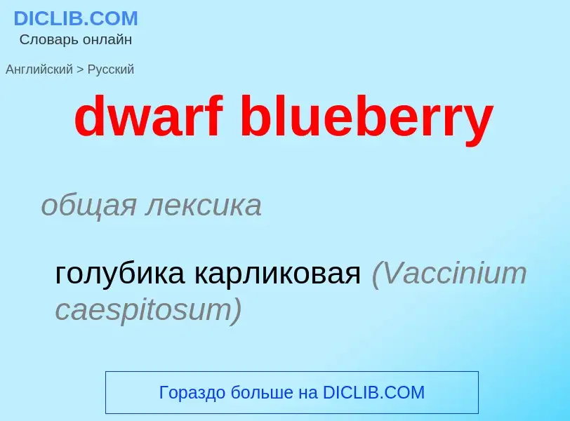 Vertaling van &#39dwarf blueberry&#39 naar Russisch