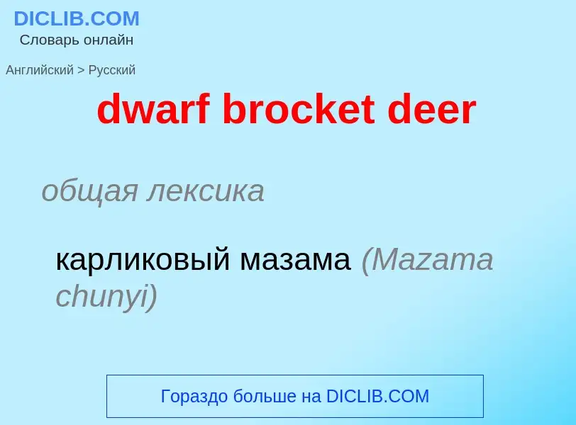 Vertaling van &#39dwarf brocket deer&#39 naar Russisch