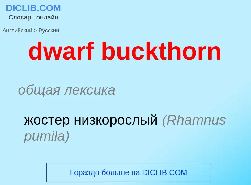 Como se diz dwarf buckthorn em Russo? Tradução de &#39dwarf buckthorn&#39 em Russo