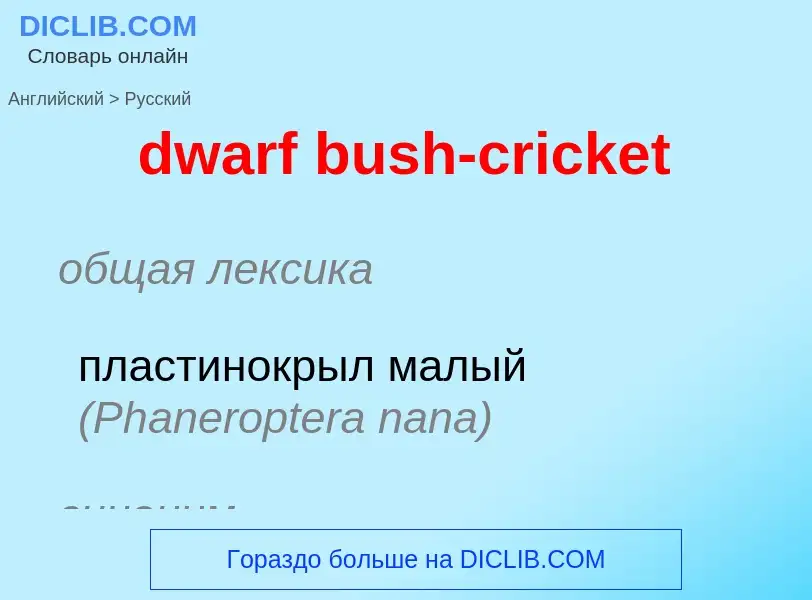 Как переводится dwarf bush-cricket на Русский язык