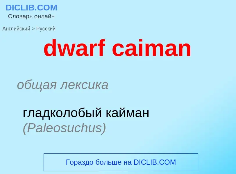 Como se diz dwarf caiman em Russo? Tradução de &#39dwarf caiman&#39 em Russo