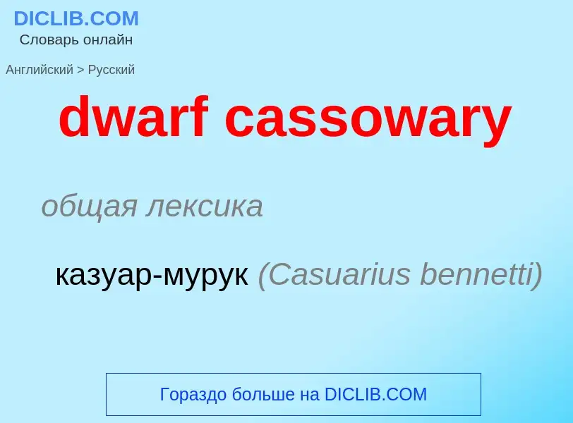 Como se diz dwarf cassowary em Russo? Tradução de &#39dwarf cassowary&#39 em Russo