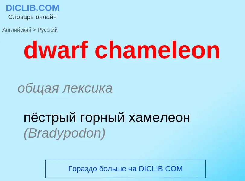 Μετάφραση του &#39dwarf chameleon&#39 σε Ρωσικά