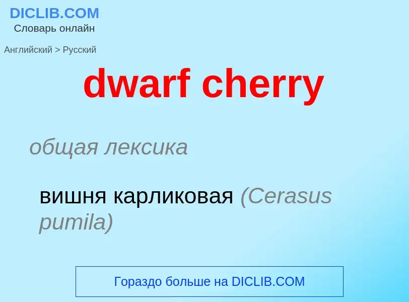 Vertaling van &#39dwarf cherry&#39 naar Russisch