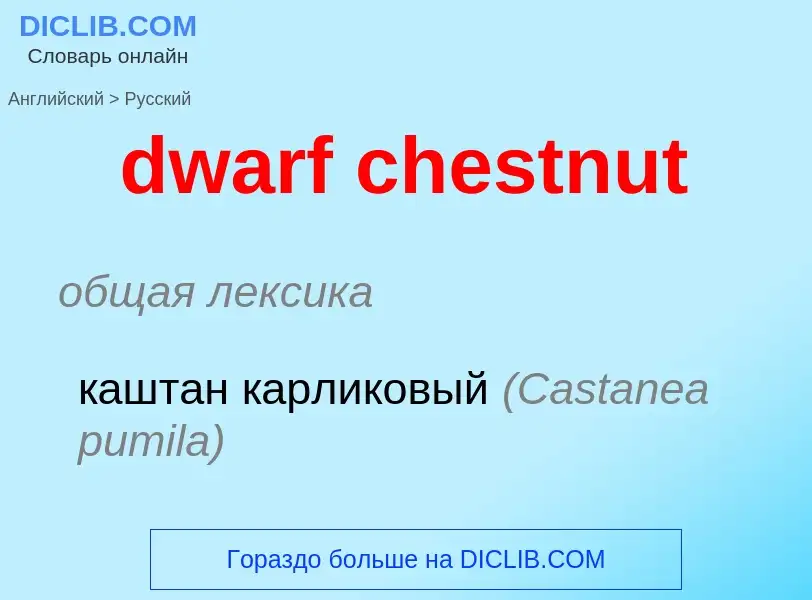 Vertaling van &#39dwarf chestnut&#39 naar Russisch