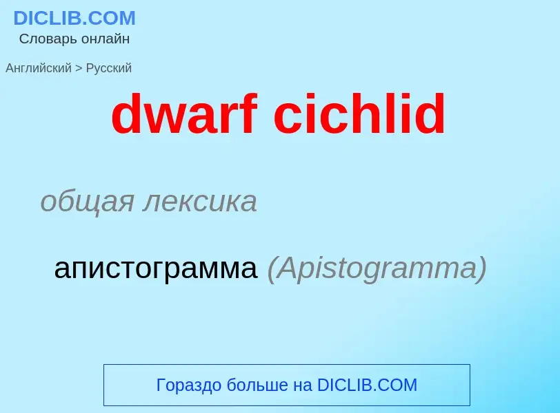 Como se diz dwarf cichlid em Russo? Tradução de &#39dwarf cichlid&#39 em Russo