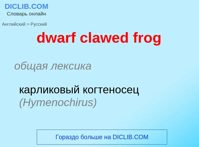 Como se diz dwarf clawed frog em Russo? Tradução de &#39dwarf clawed frog&#39 em Russo