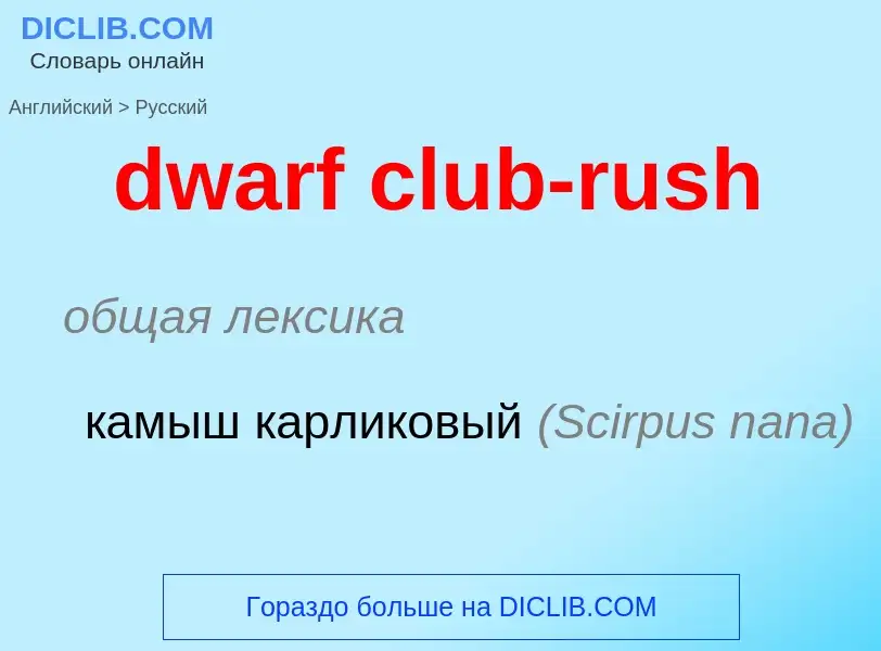 Vertaling van &#39dwarf club-rush&#39 naar Russisch