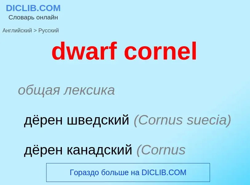 Vertaling van &#39dwarf cornel&#39 naar Russisch