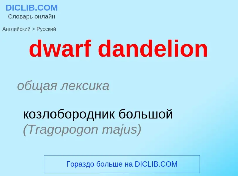 Vertaling van &#39dwarf dandelion&#39 naar Russisch