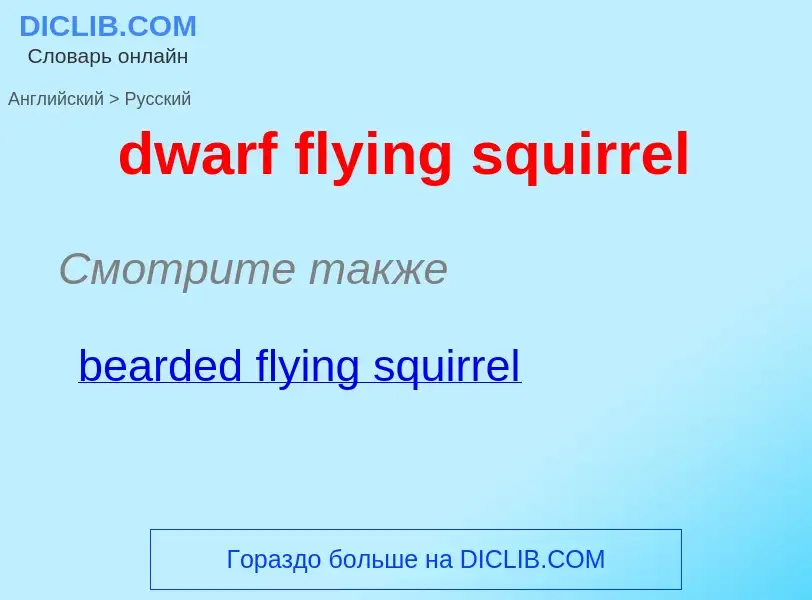 Vertaling van &#39dwarf flying squirrel&#39 naar Russisch