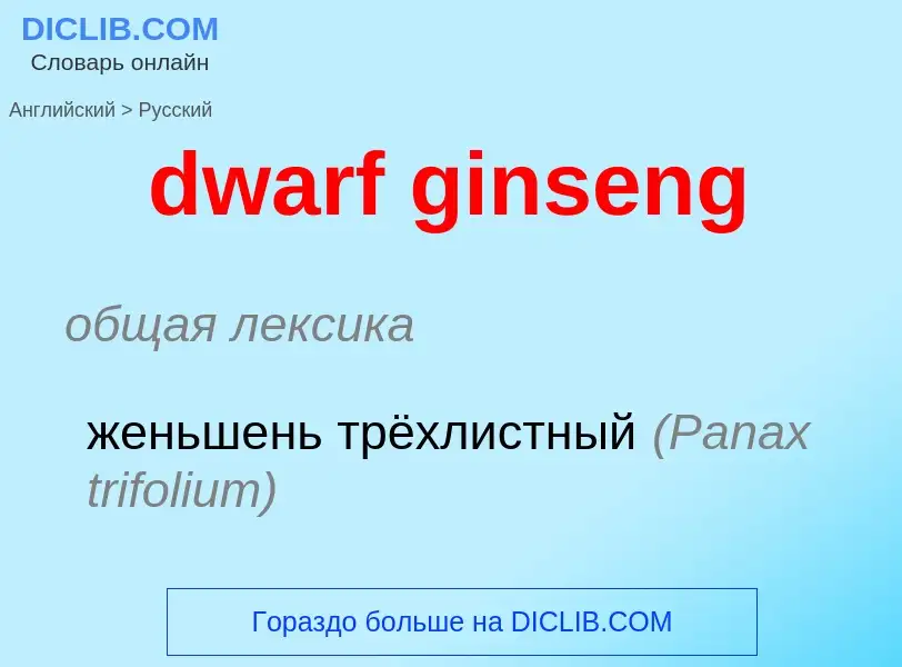 Vertaling van &#39dwarf ginseng&#39 naar Russisch