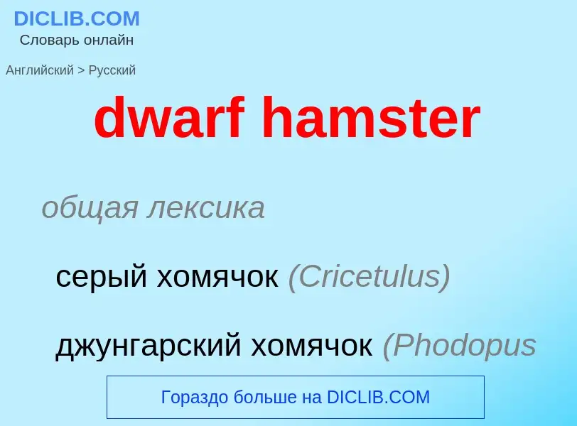 Vertaling van &#39dwarf hamster&#39 naar Russisch