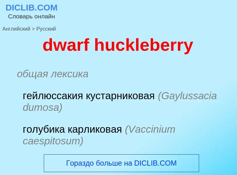 Vertaling van &#39dwarf huckleberry&#39 naar Russisch