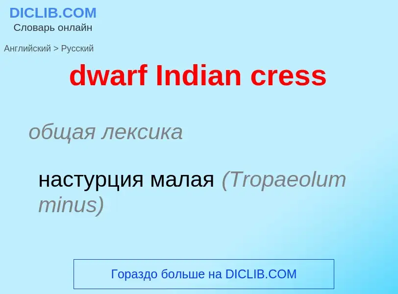 Vertaling van &#39dwarf Indian cress&#39 naar Russisch