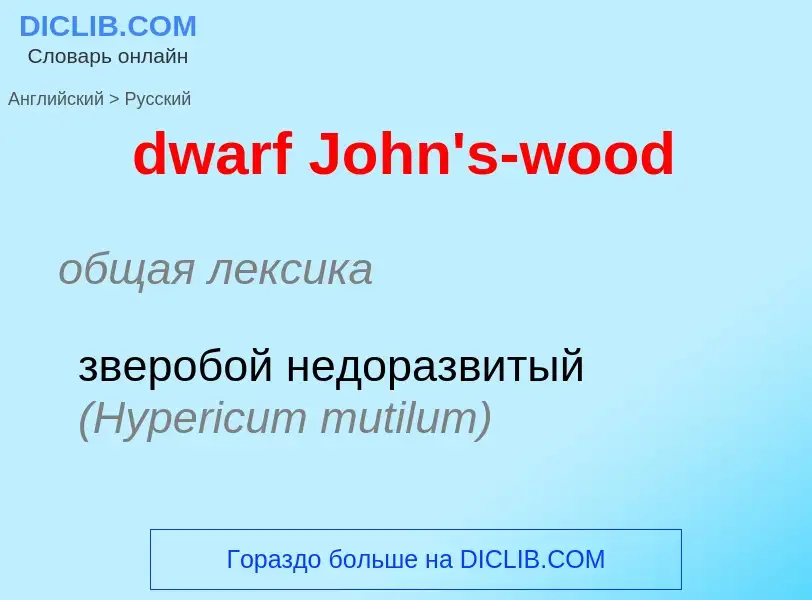 Vertaling van &#39dwarf John's-wood&#39 naar Russisch