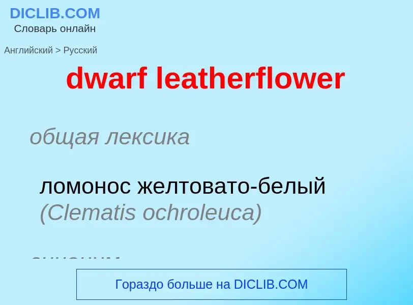 Vertaling van &#39dwarf leatherflower&#39 naar Russisch