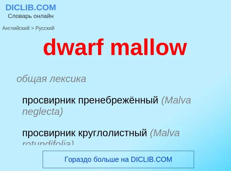 Como se diz dwarf mallow em Russo? Tradução de &#39dwarf mallow&#39 em Russo