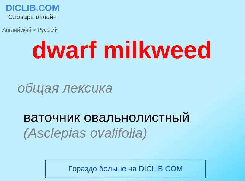 Como se diz dwarf milkweed em Russo? Tradução de &#39dwarf milkweed&#39 em Russo