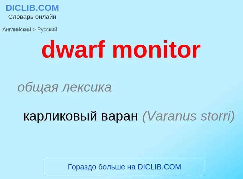 Vertaling van &#39dwarf monitor&#39 naar Russisch