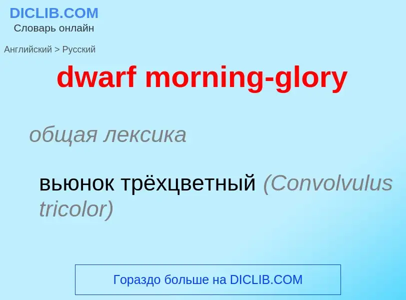 Vertaling van &#39dwarf morning-glory&#39 naar Russisch