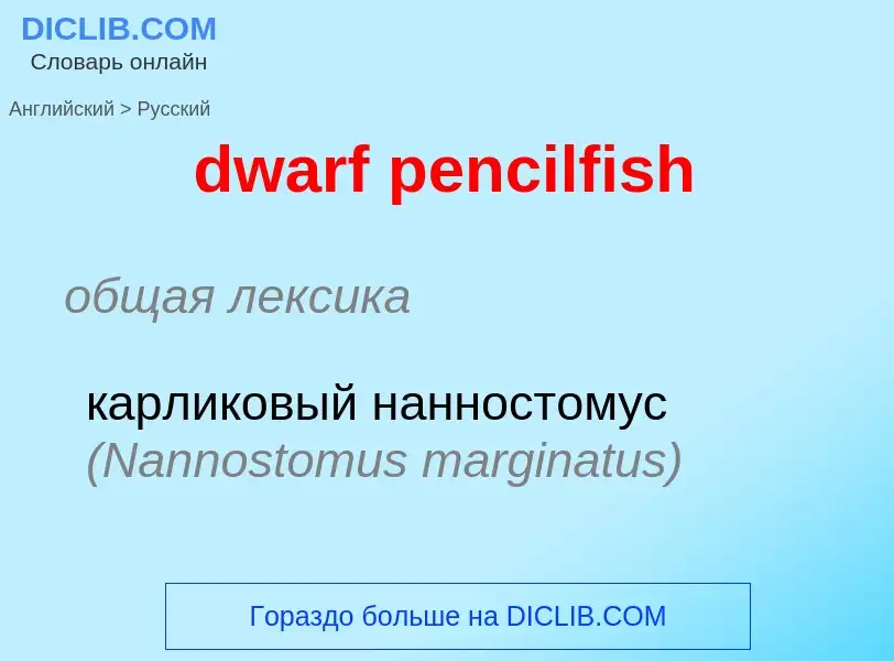 Vertaling van &#39dwarf pencilfish&#39 naar Russisch