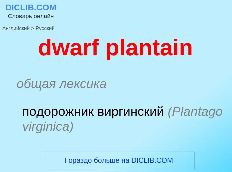 Vertaling van &#39dwarf plantain&#39 naar Russisch